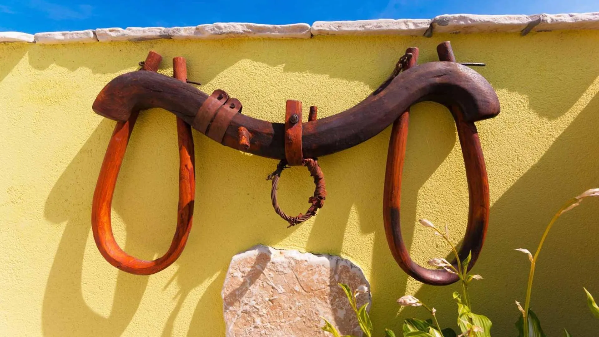 Villa Roža, a beautiful villa with pool close to the beach Krmed Σπίτι διακοπών